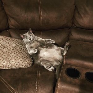 Meet your Posher, Reyna